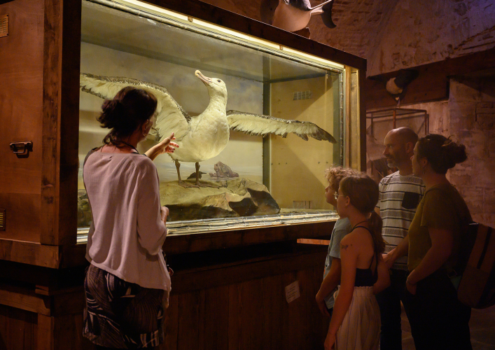 La guide devant un diorama